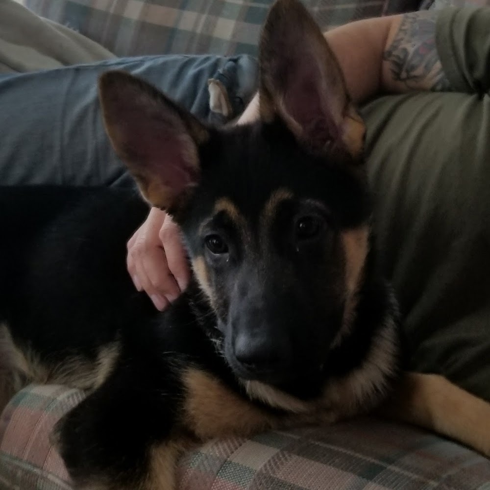 Meet your Posher, Maria